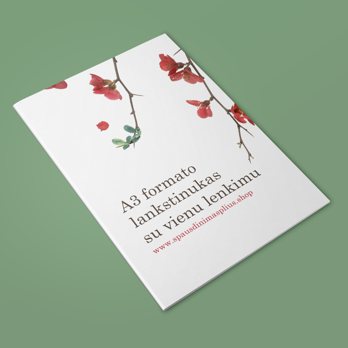 LANKSTINUKAS A3 SU VIENU LENKIMU
